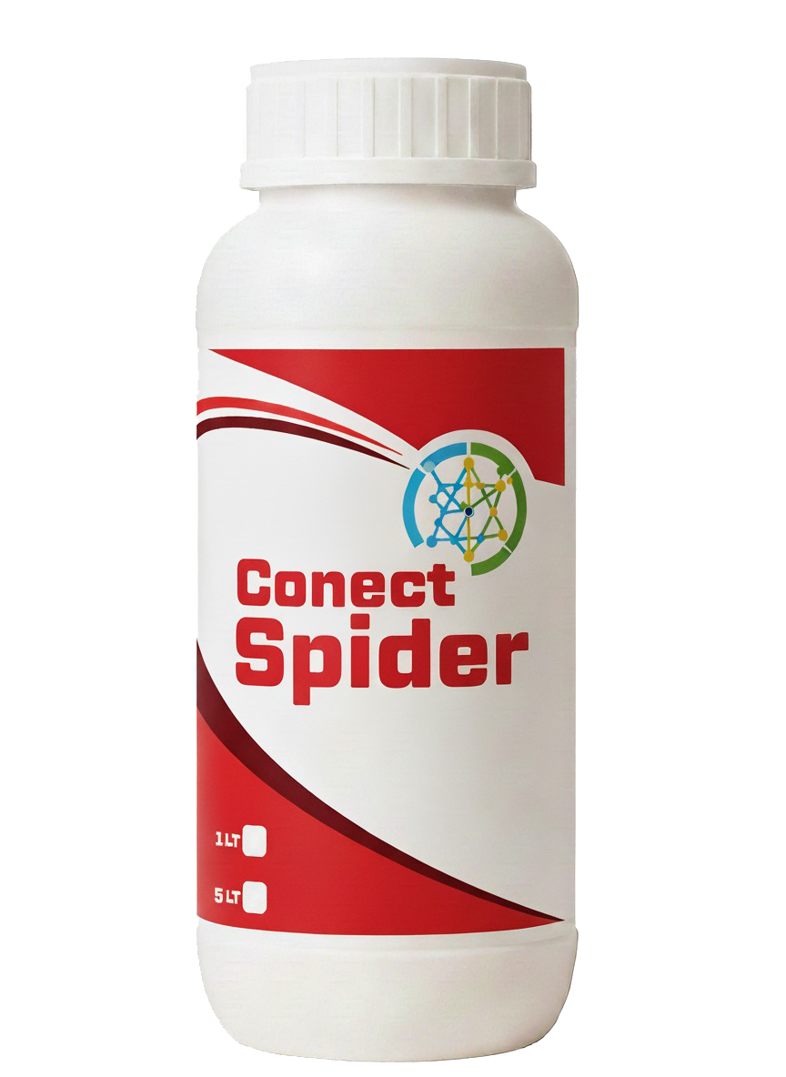 Conect Spider